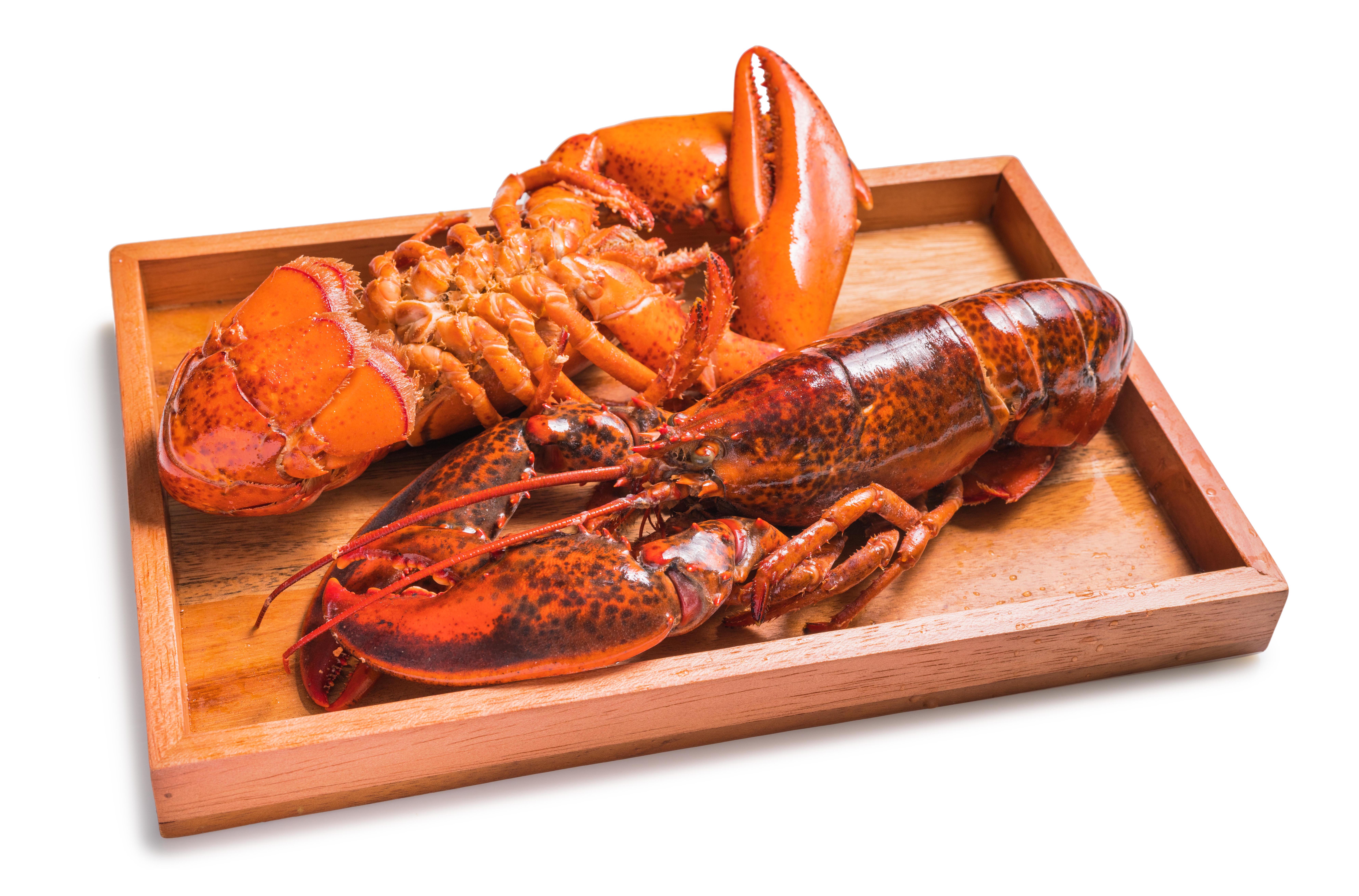 cooked-boiled-red-lobster
