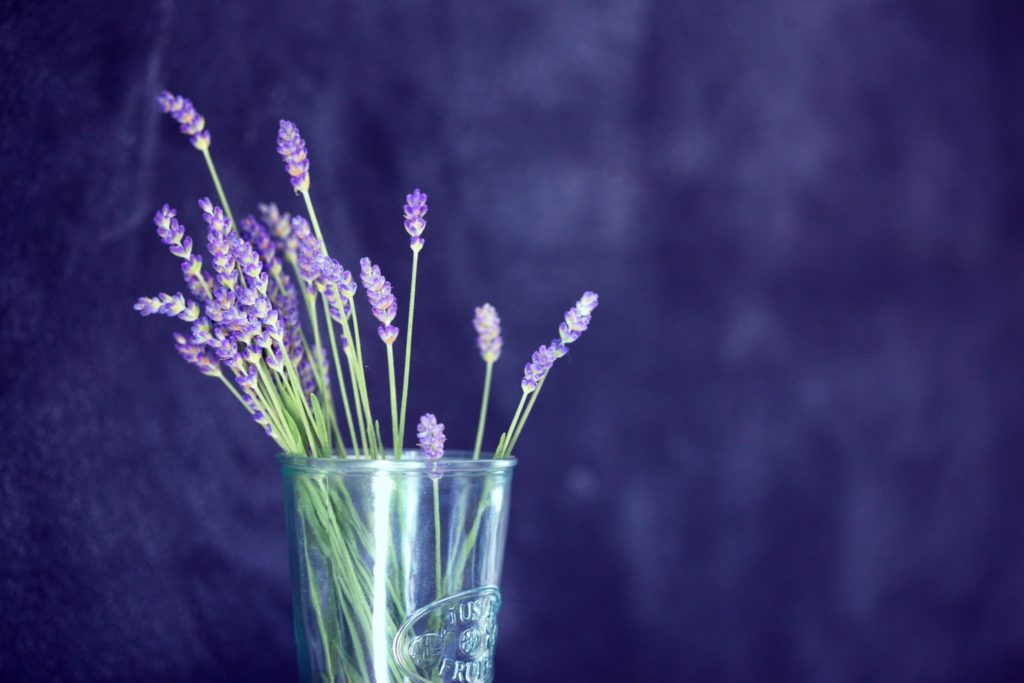 summer lavender