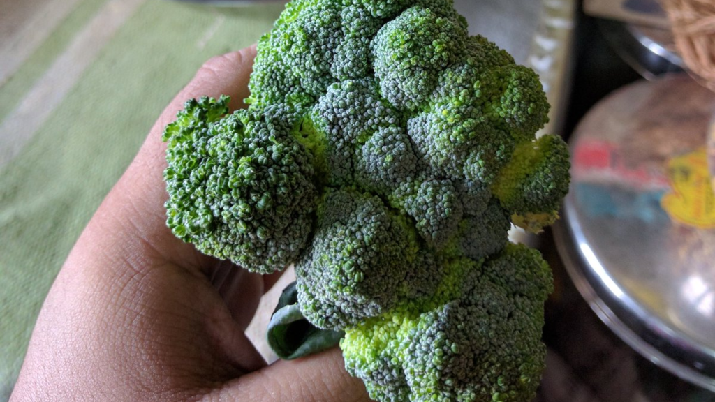 broccoli bad