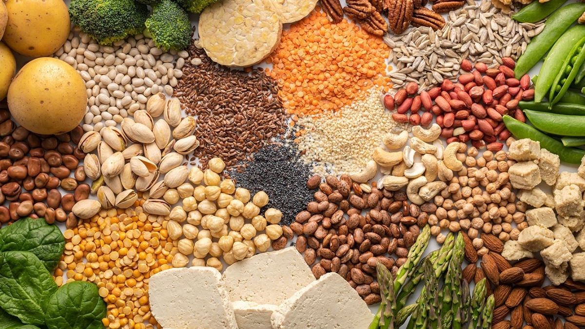 What Is Plant Protein