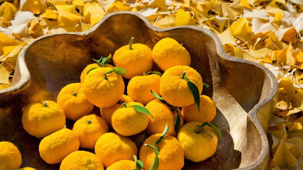 Are There Health Benefits to Eating Yuzu Fruit 