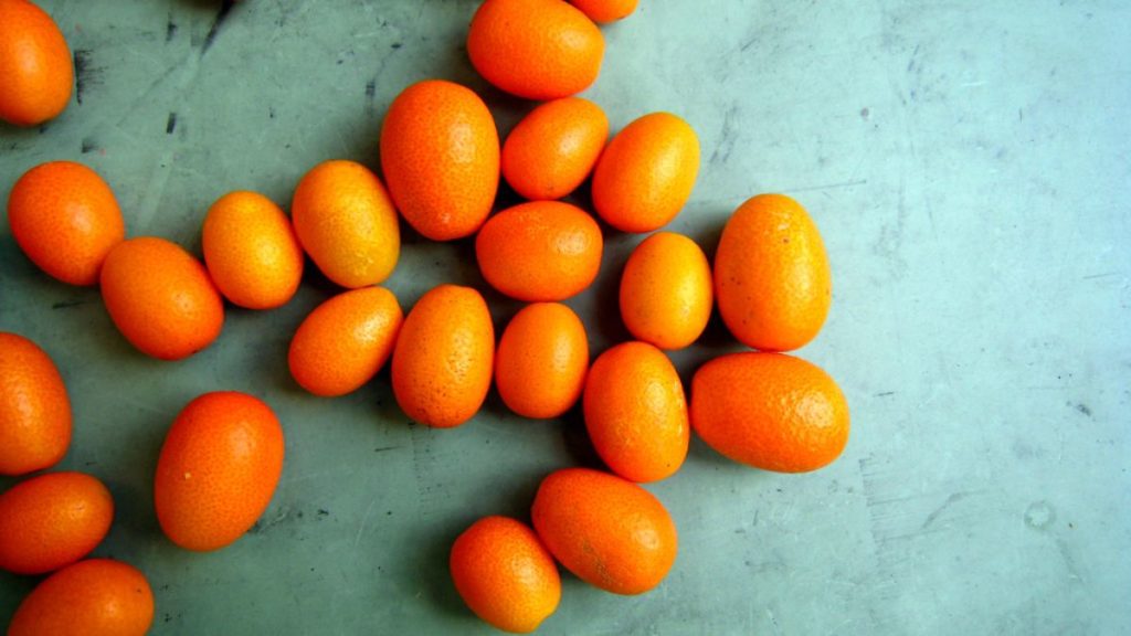 How To Tell If Kumquat Is Bad