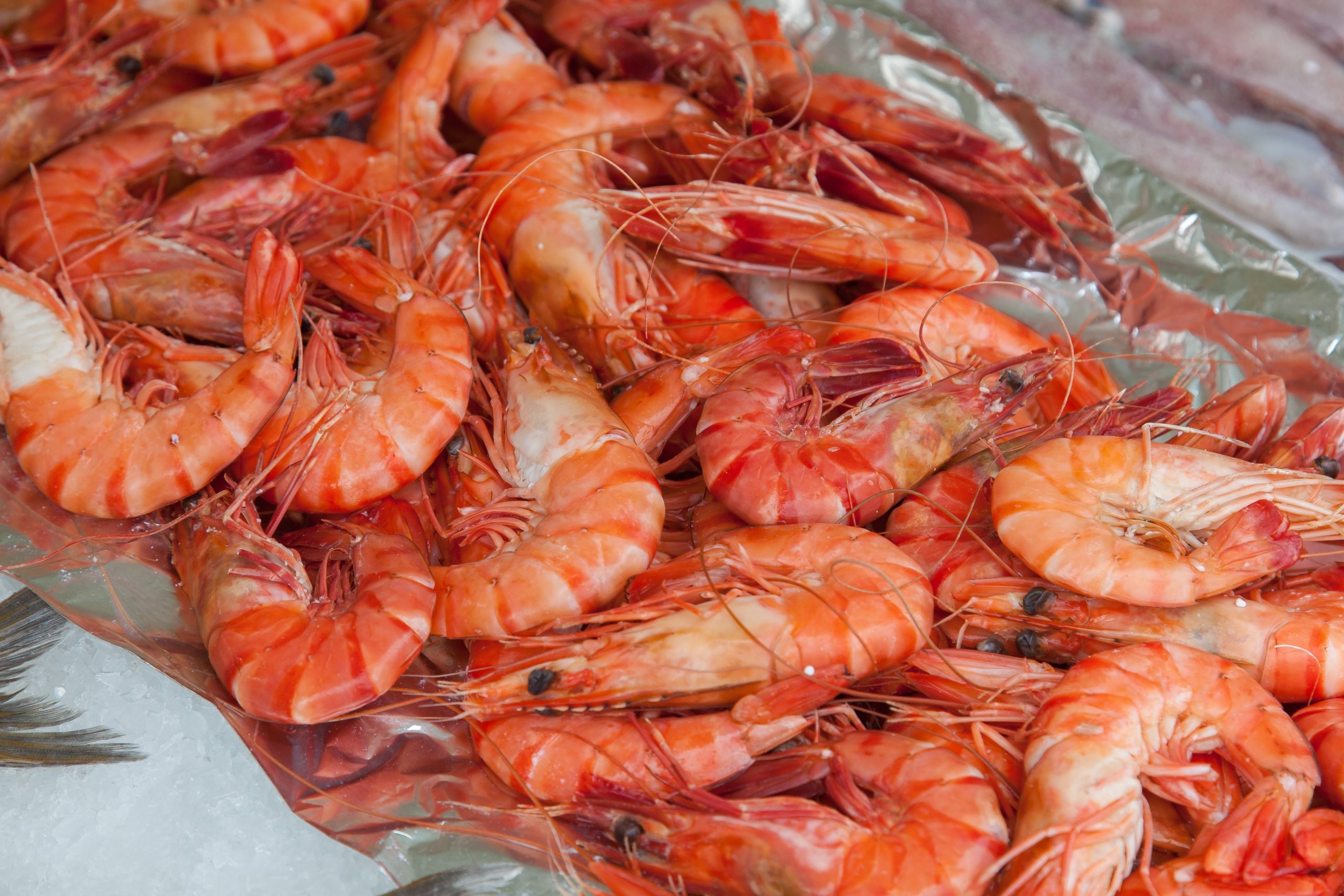 How to Tell If Frozen Shrimp is Bad
