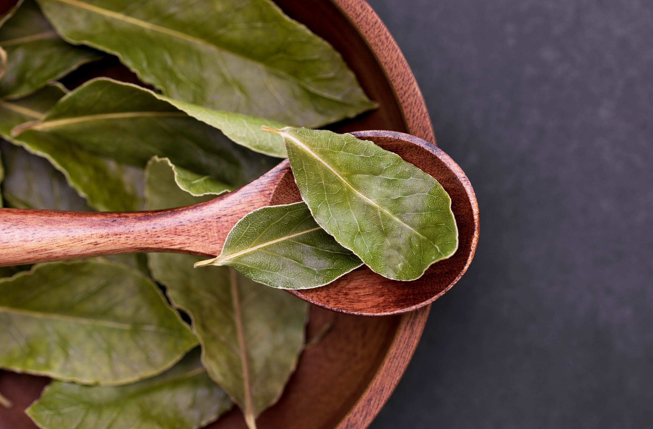 What Are Bay Leaves?