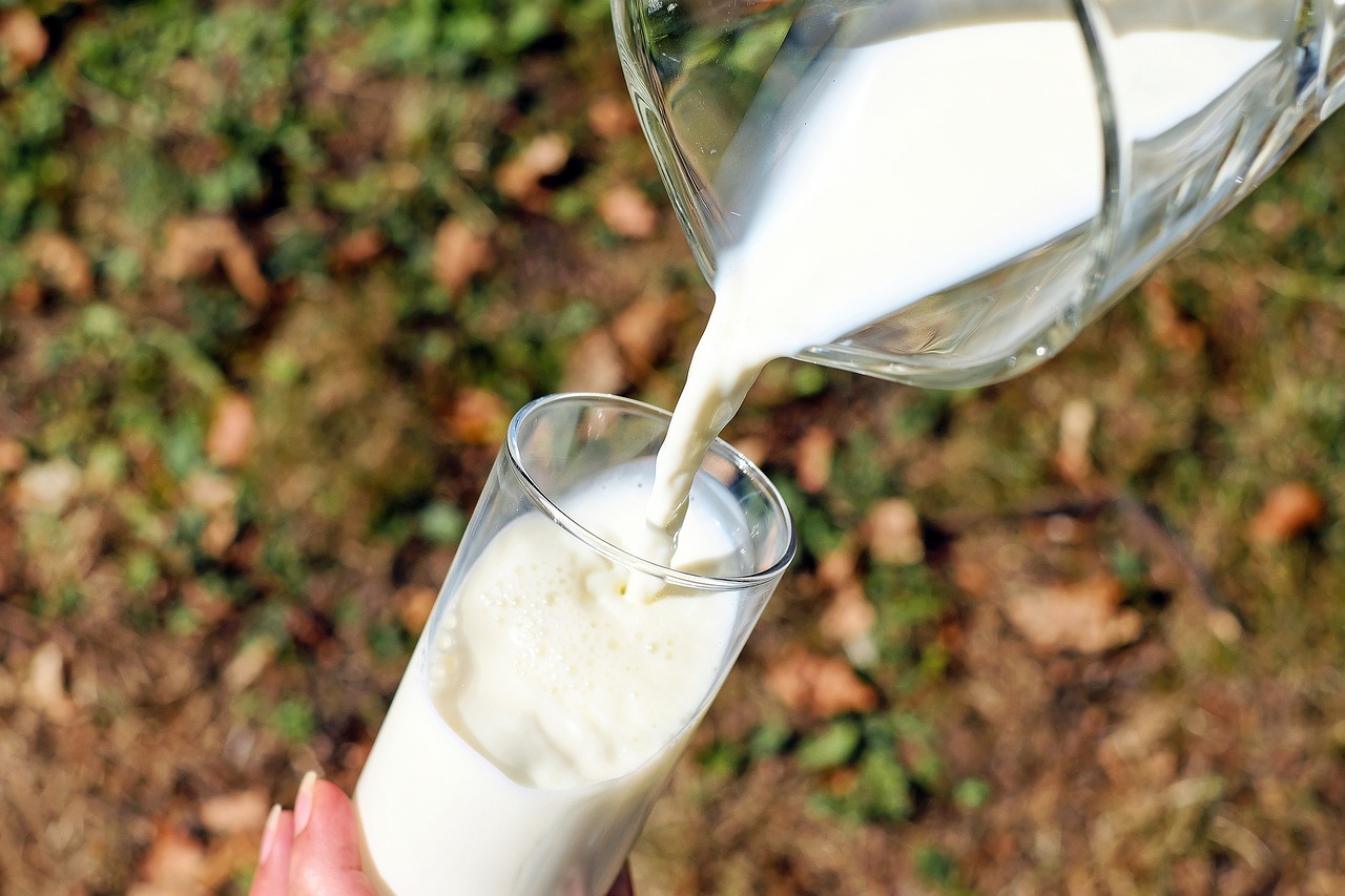 What is Raw Milk